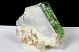 Beautiful Chrome-Dravite Crystal - Tanzania #131245-1